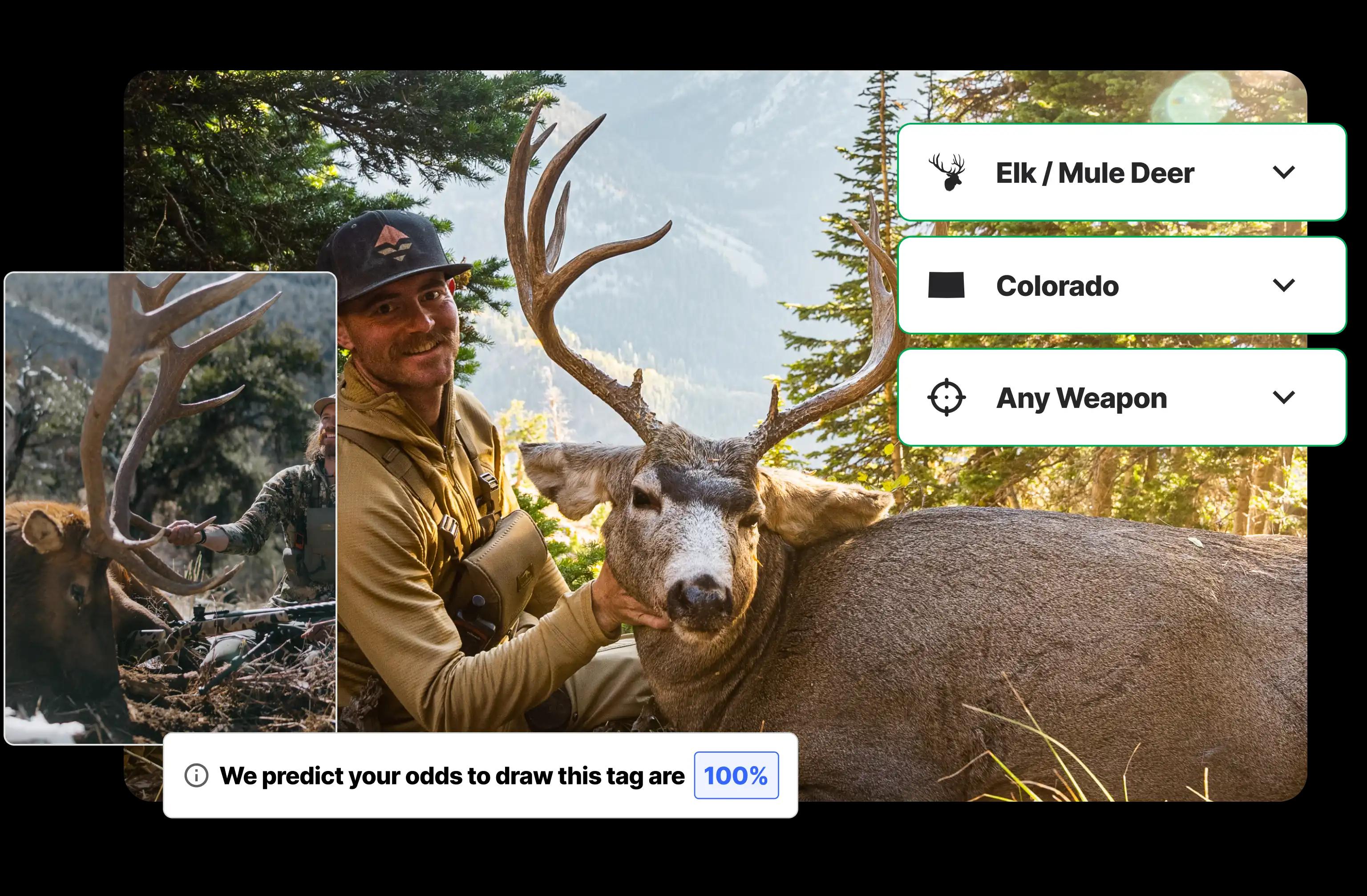  Colorado deer and elk applications made easy 