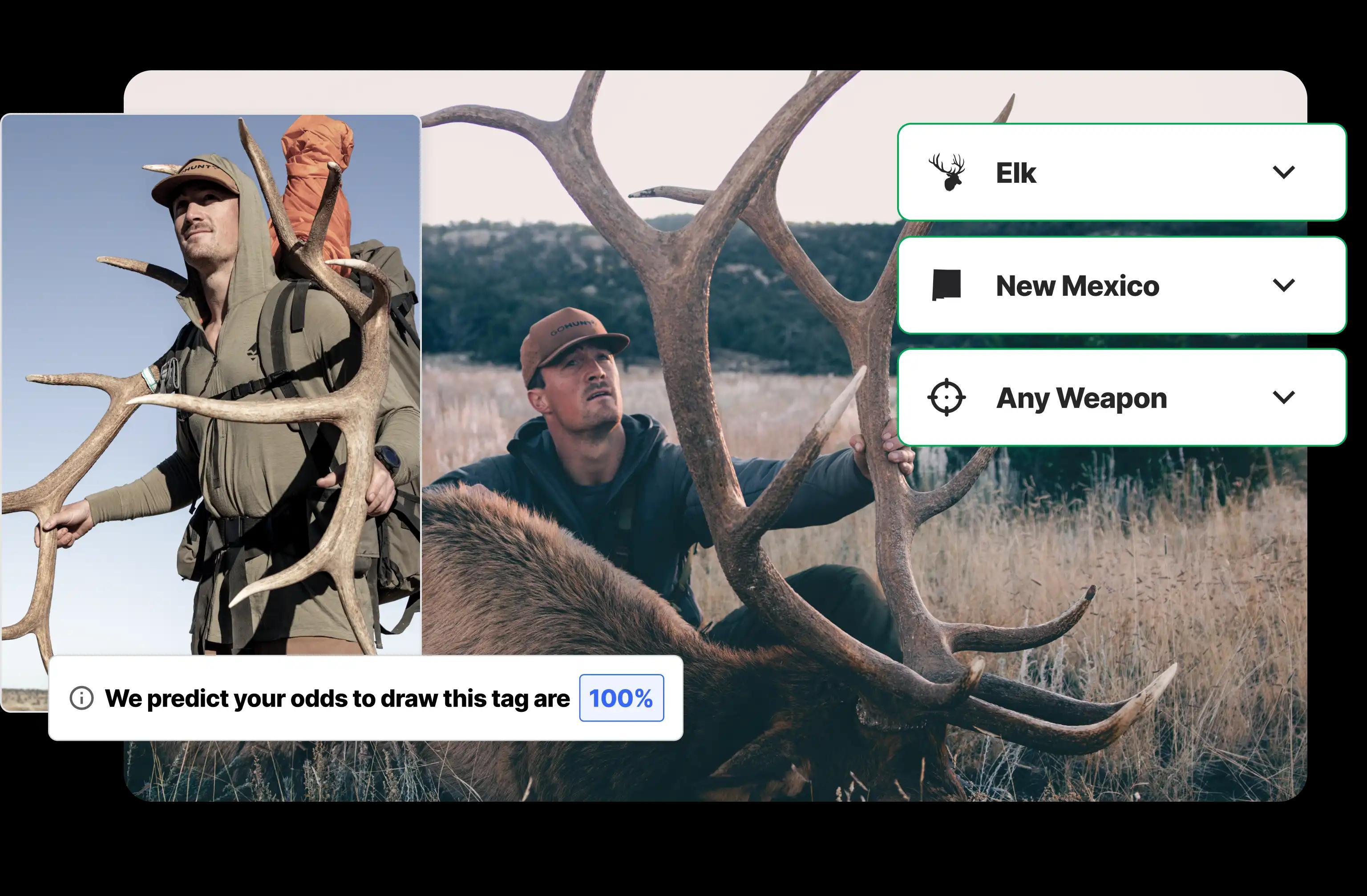  New Mexico elk applications made easy 