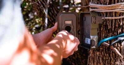 Are trail cameras the death of hunting?