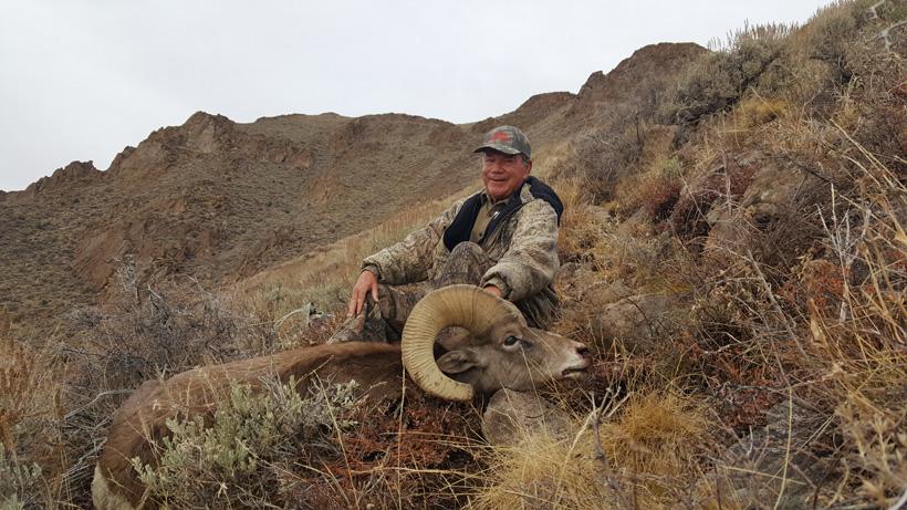 2016 desert bighorn taken with nevada outfitters