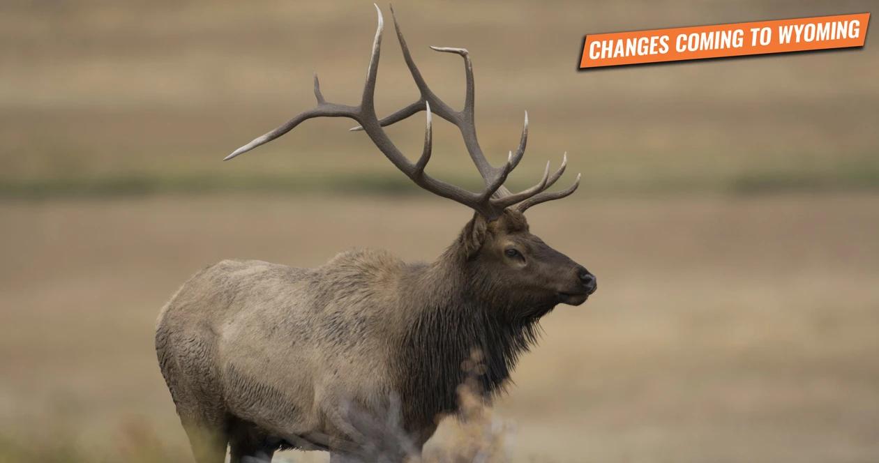 New wyoming bill would impact nonresident hunters 1_0