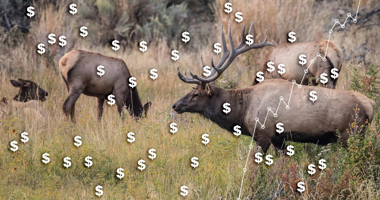 Wyoming 2018 fee increase for hunting licenses 1