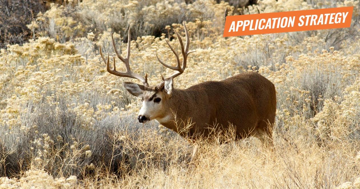 2018 nevada mule deer application strategy article 1