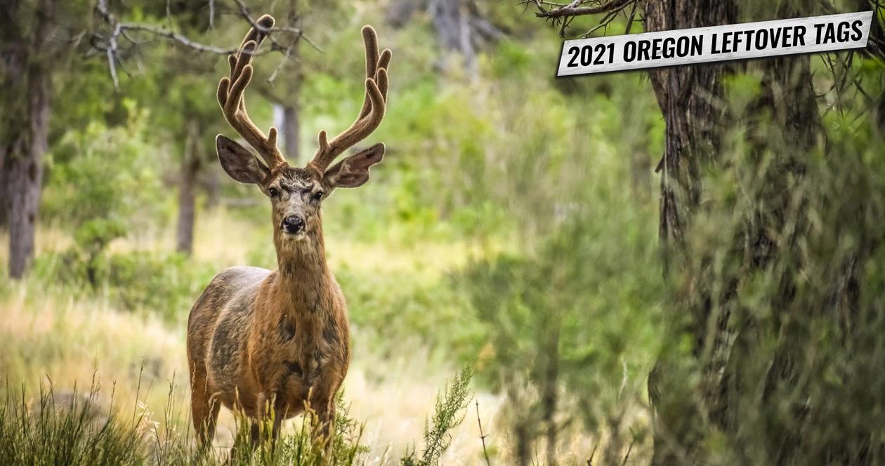 2021 oregon leftover deer and elk tag list 1