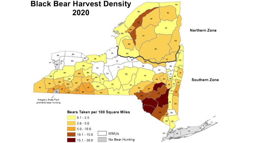 Black bear harvest density