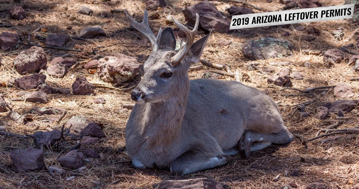 2019 arizona leftover hunting permit list 1