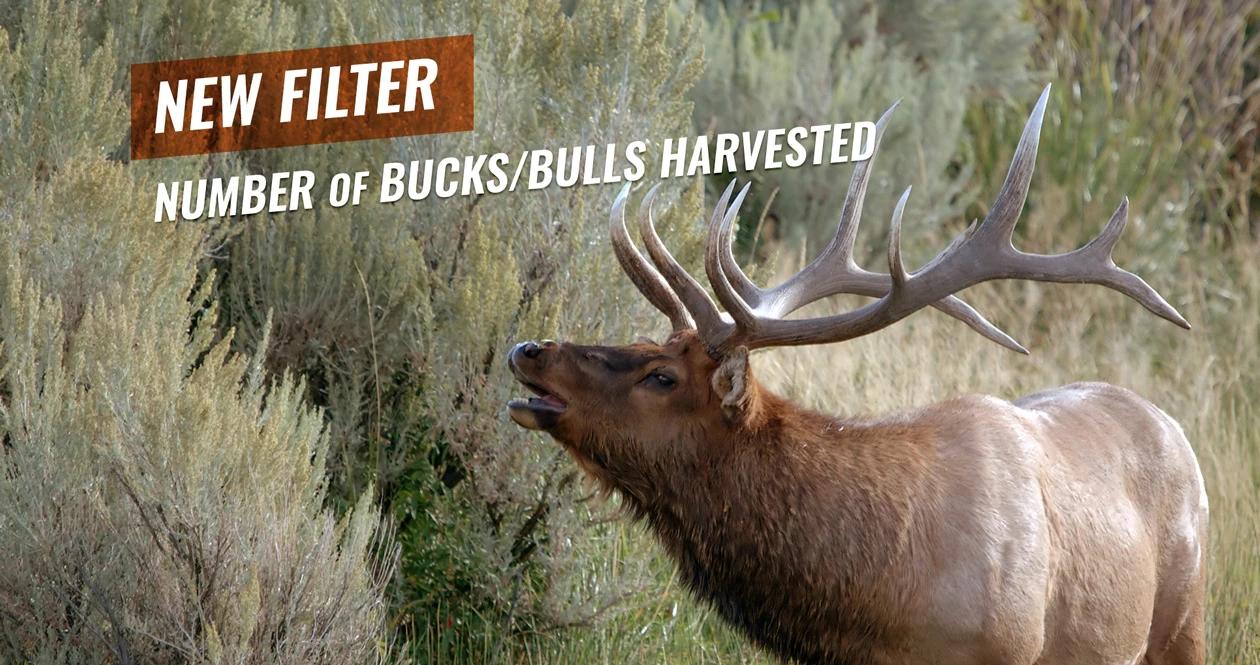 Insider enhancement filter by number of bucks and bulls harvested in montana 1_0