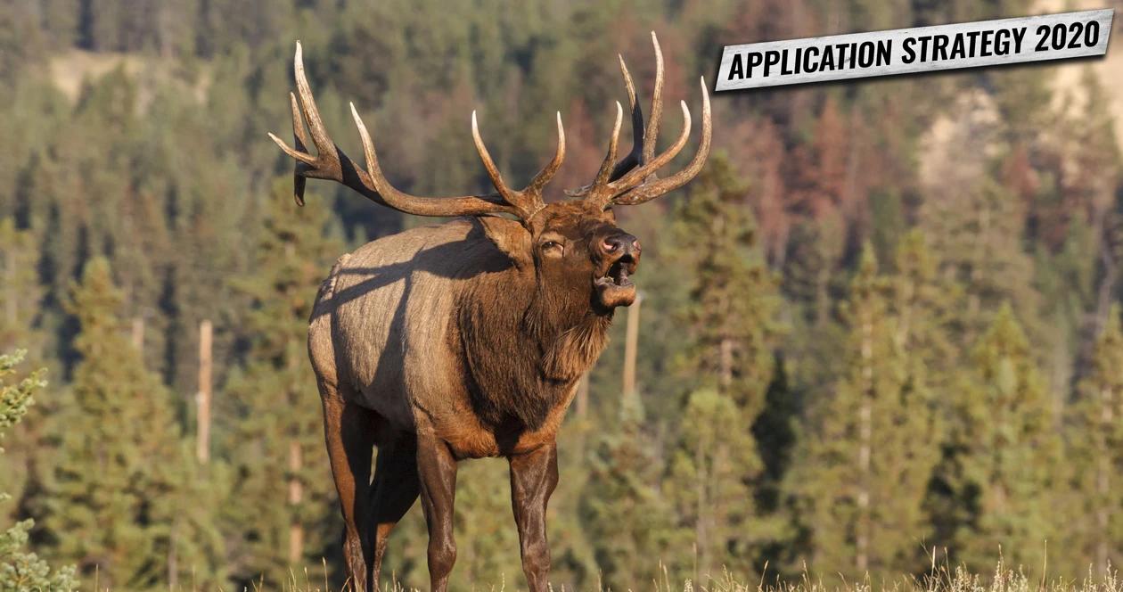 Application strategy new mexico elk deer h1