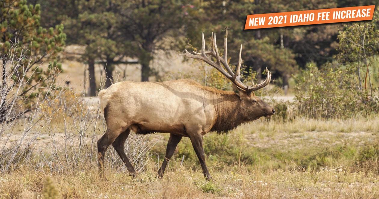 New 2021 idaho nonresident hunting fee increase 1