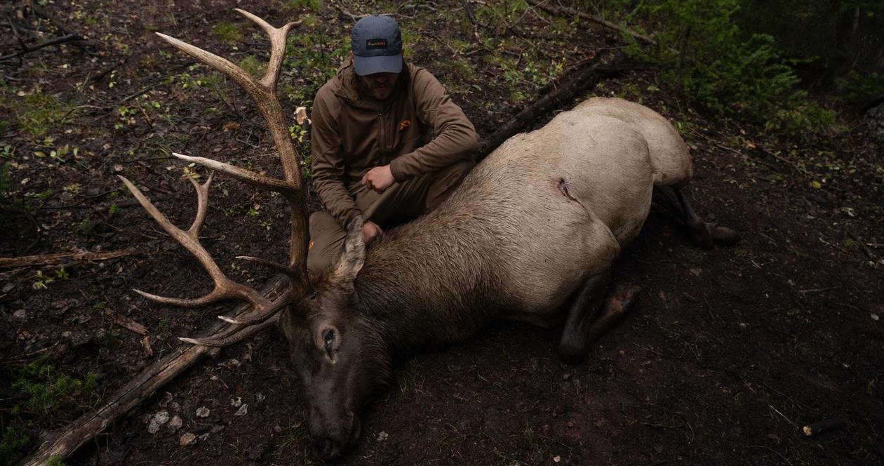 Chris neville archery elk taken off a wallow 1