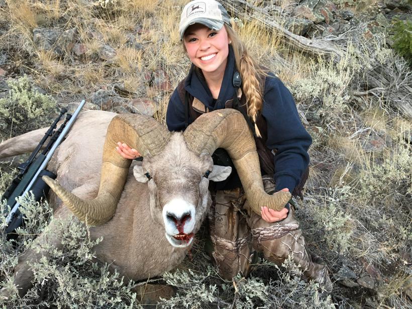 Shawnee with her 2017 montana bighorn sheep