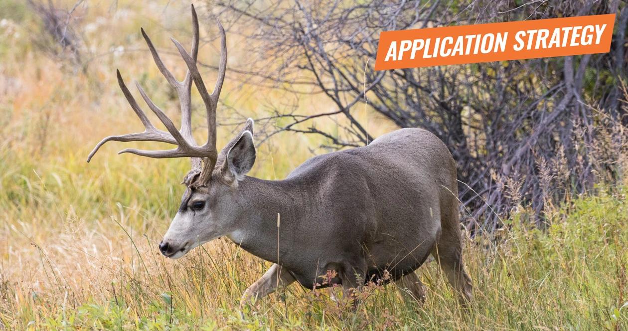 2018 utah deer application strategy article 1