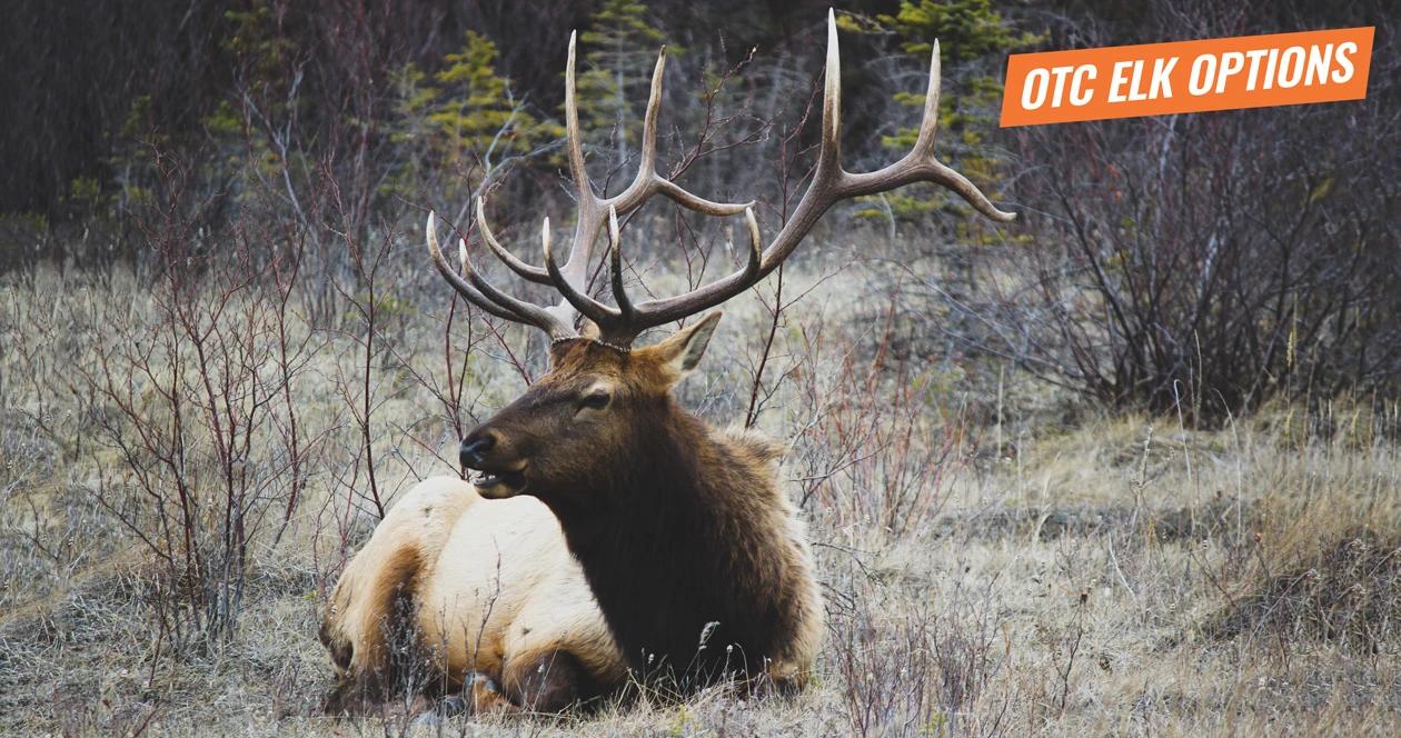 Over the counter elk hunting options 1