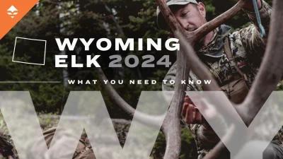 2024 Wyoming elk application what you need to know for success