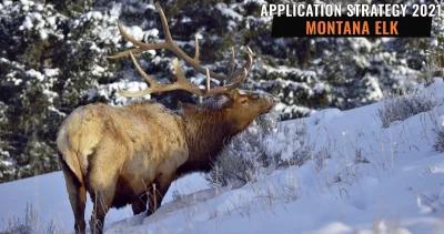 APPLICATION STRATEGY 2021: Montana Elk