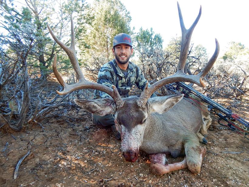 Hunter Weems Arizona OTC archery mule deer