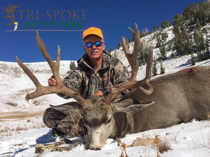 2016 wyoming mule deer taken with tri spoke outfitters