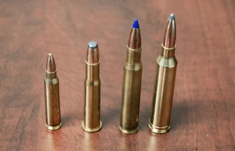 Selecting the right rifle cartridge for hunting 1