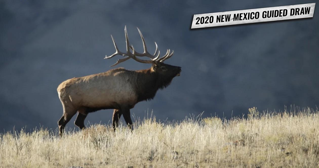 2020 new mexico guided draw h1