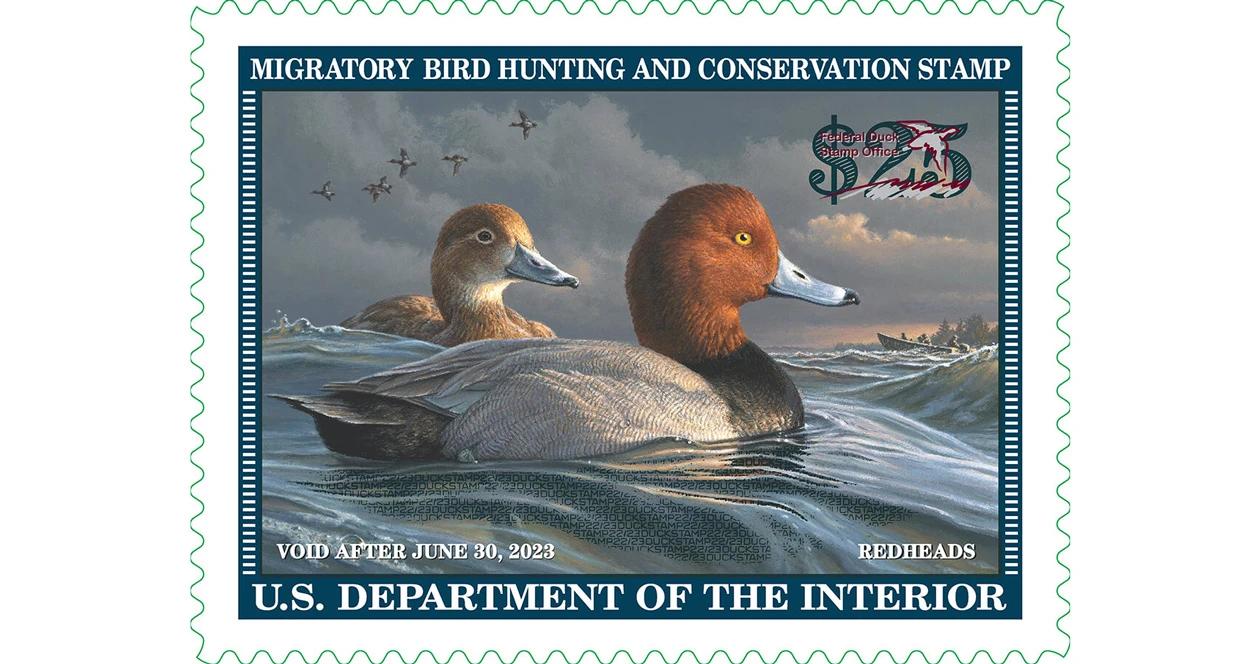 Traditional duck stamp could go digital 1