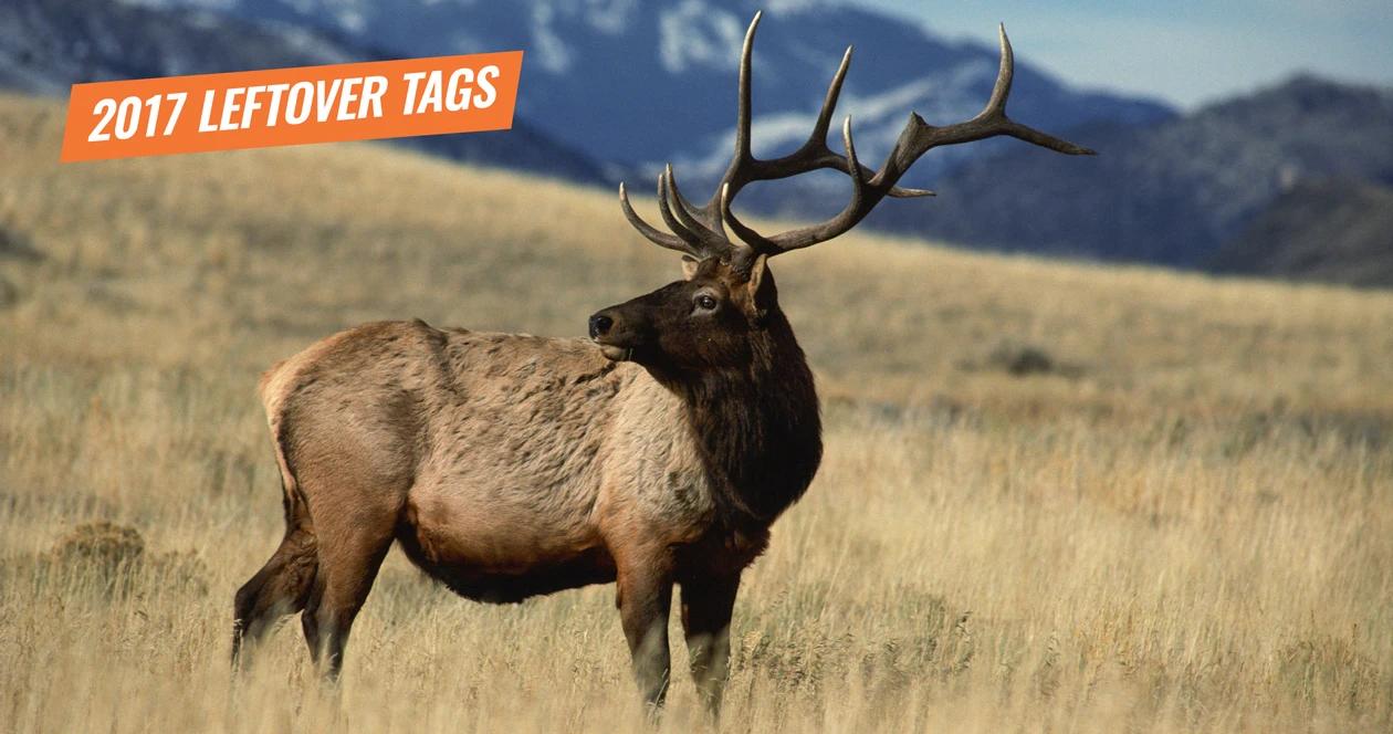 2017 Montana leftover elk tags now available.