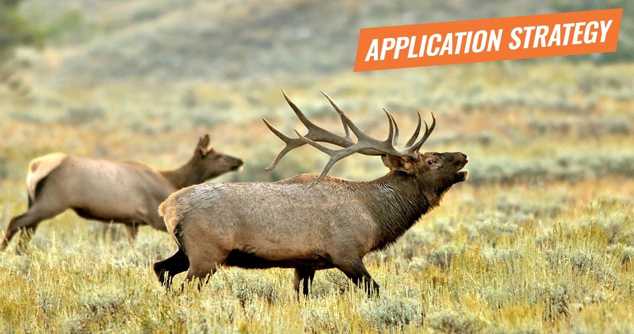 Application strategy 2018 utah elk and antelope 1