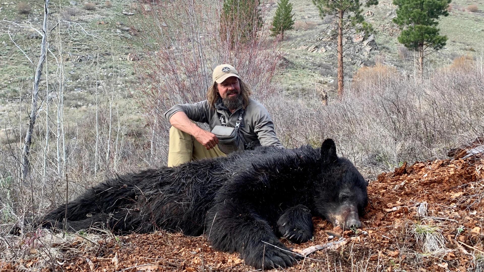 Surefire spring bear hunting tactics that will lead you to success