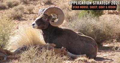 Utah moose sheep goat bison app h1