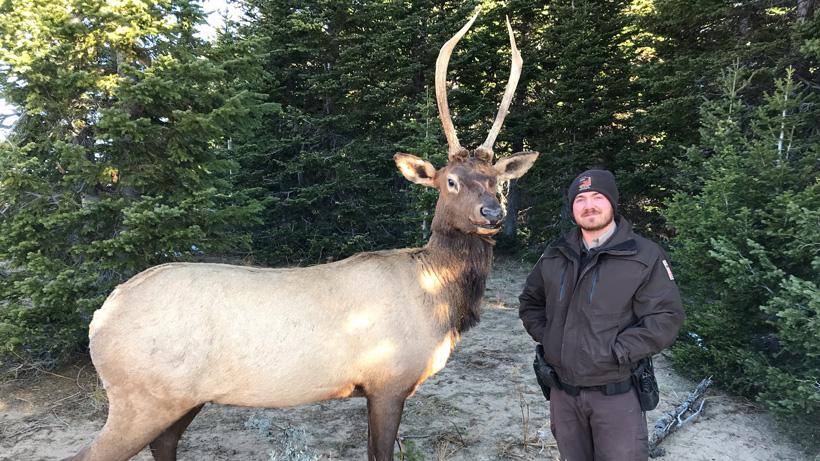 Chad Bettridge Game warden decoy set up elk