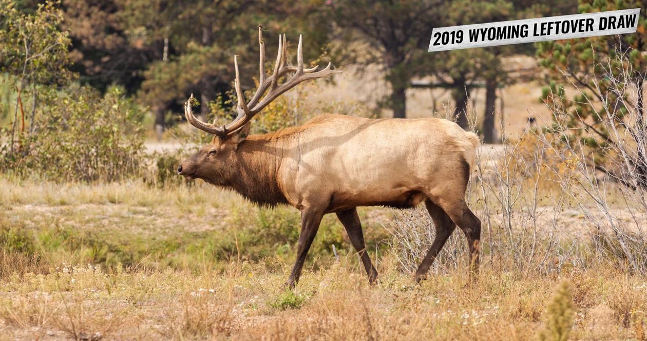 2019 wyoming leftover hunting tag list 1