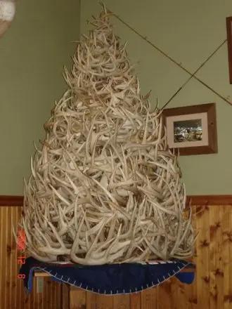 Whitetail shed antler christmas tree