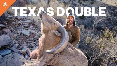 The Ram Town, USA film continues with Brady and Trail both taking giant Aoudad rams