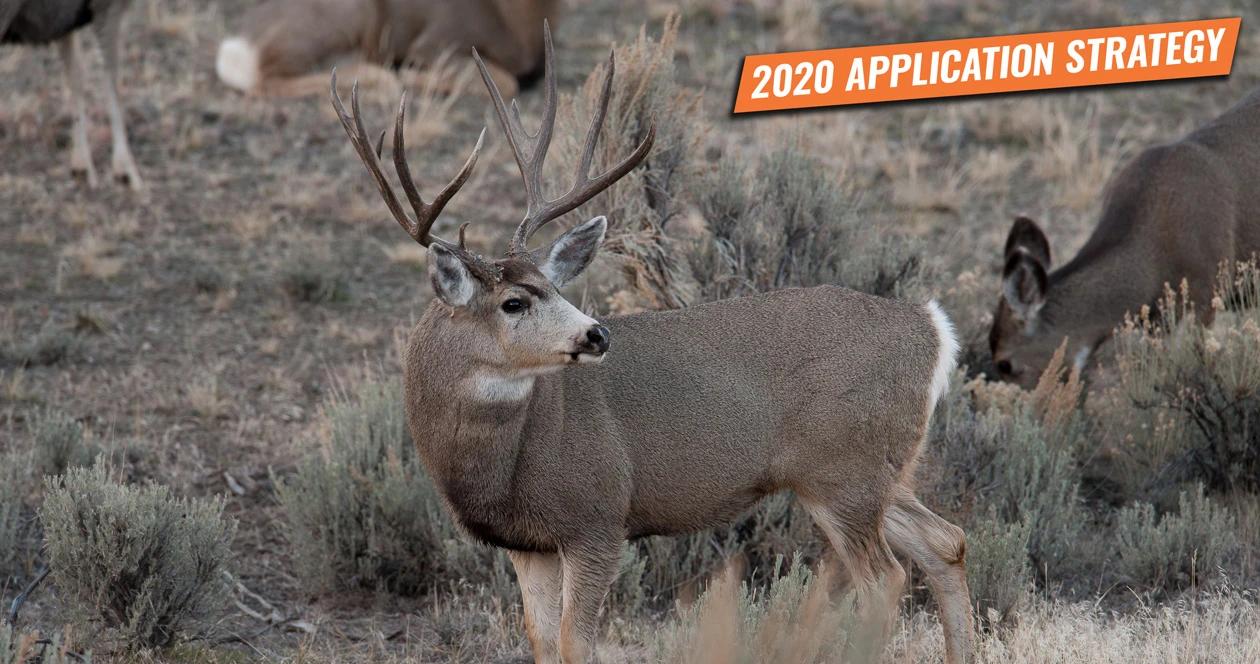 Idaho deer elk antelope app 2020 h1