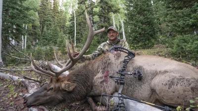 Tips for executing the perfect shot with a bow on a bull elk