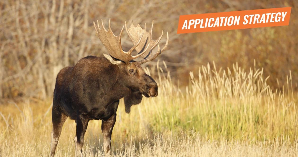 Application strategy 2018 utah moose sheep goat bison 1