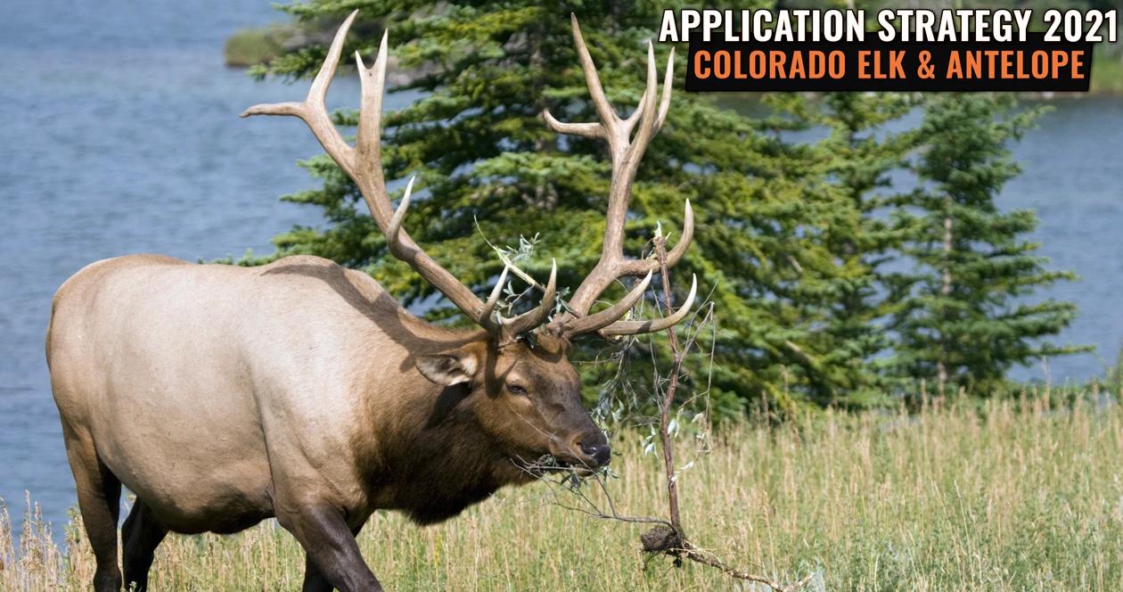 APPLICATION STRATEGY 2021: Colorado Elk and Antelope