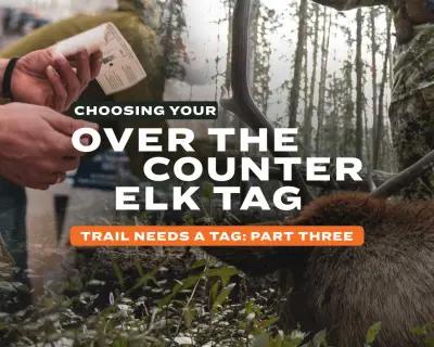 How to get an elk tag to hunt this year - Part Three