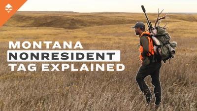 Montana nonresident combination tags explained