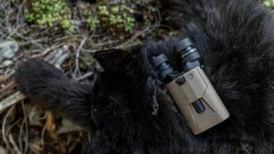 SIG SAUER ZULU6 binoculars for spring black bear