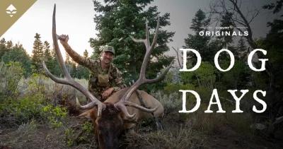DOG DAYS — An elk hunter's dream