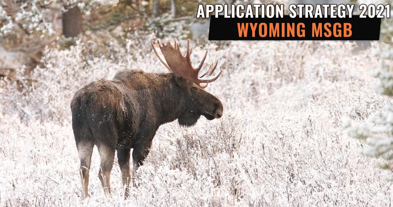 Wyoming moose application strategy h1