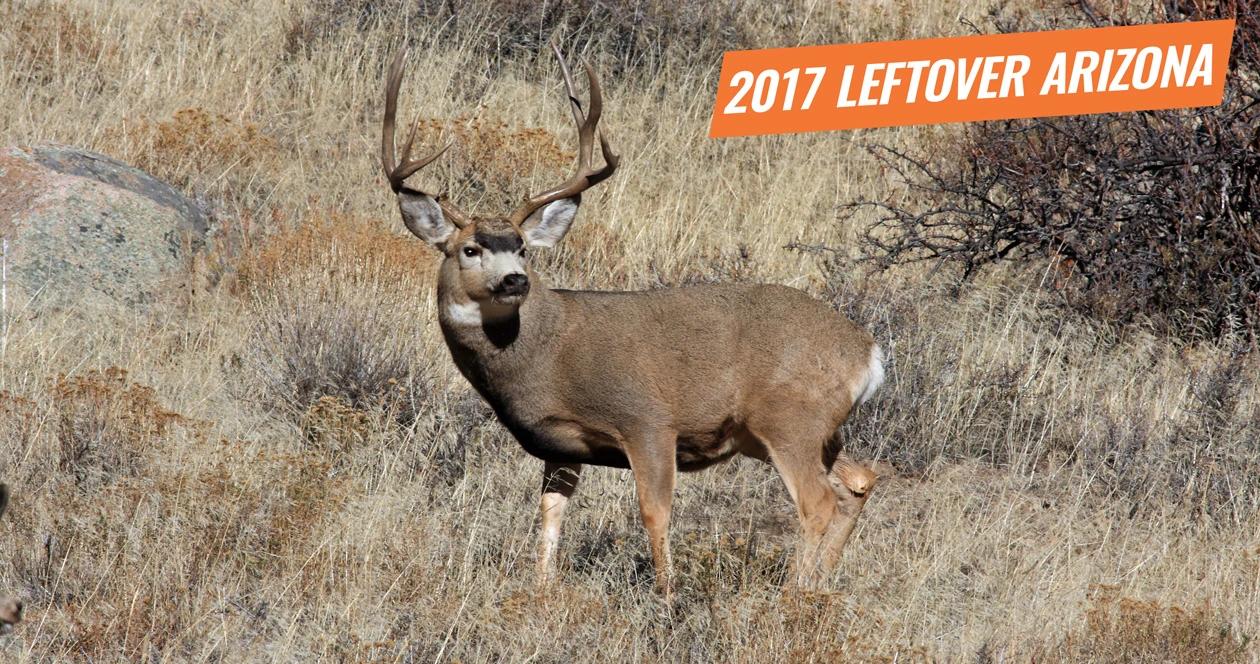 Arizona leftover hunting permits for 2017 1
