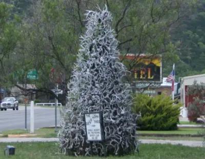 Very large deer antler christmas tree