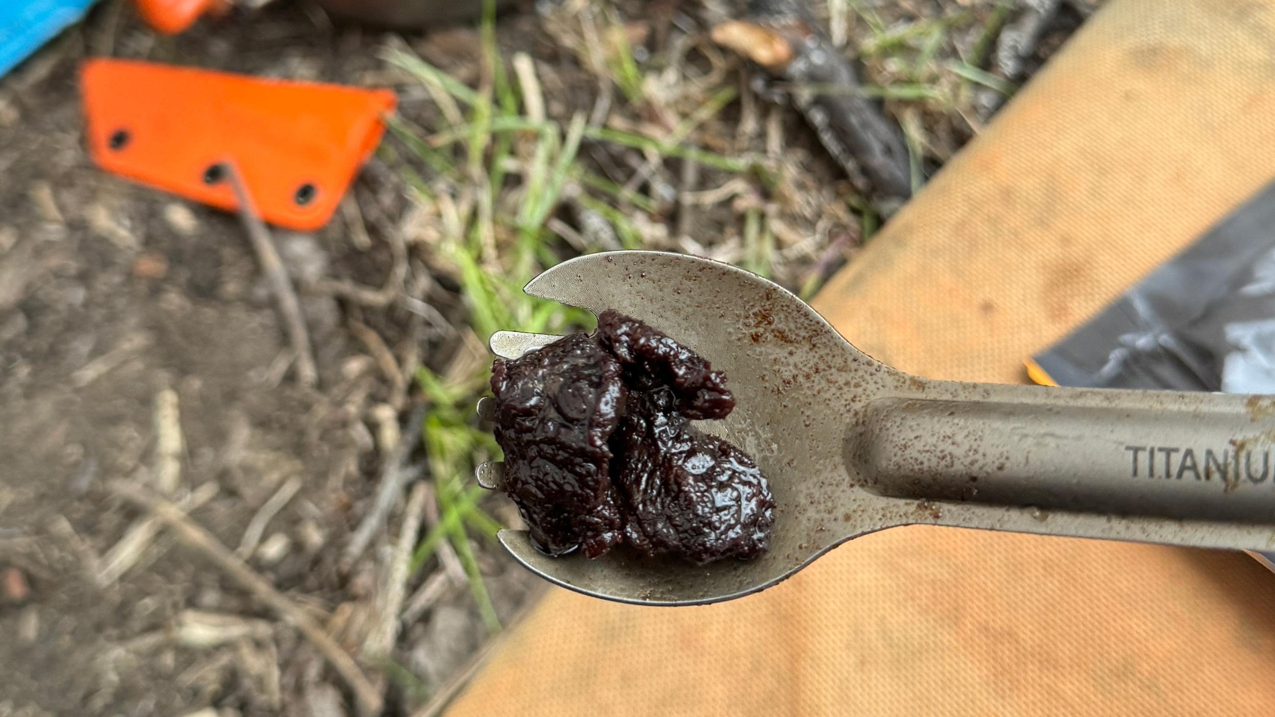 Bear meat cooked in bear fat on GOHUNT titanium spork