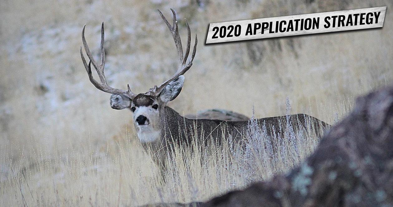 Application strategy 2020 deer bison sheep h1