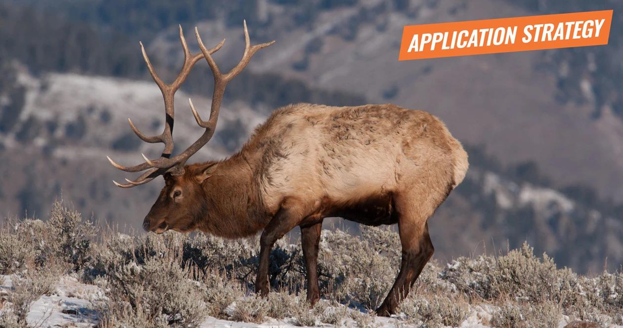 2018 colorado deer and elk application strategy article 1