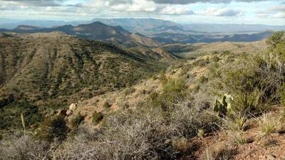 Arizona Desert Hunting Terrain
