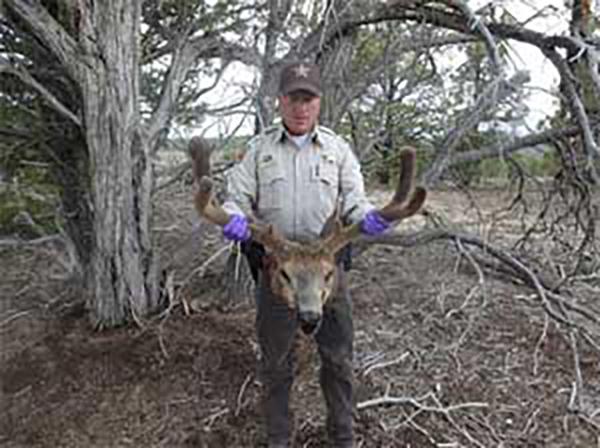 Utah mule deer poached and wasted head displayed by Utah Division of Wildlife