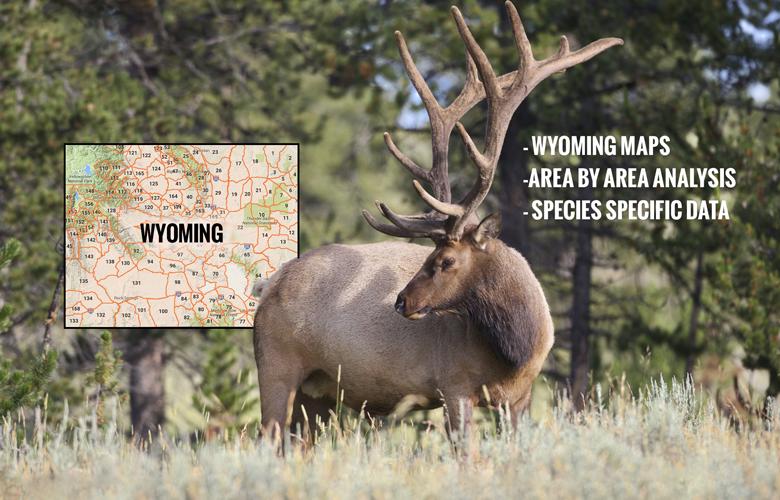 Wyoming insider sneak peek 1_1