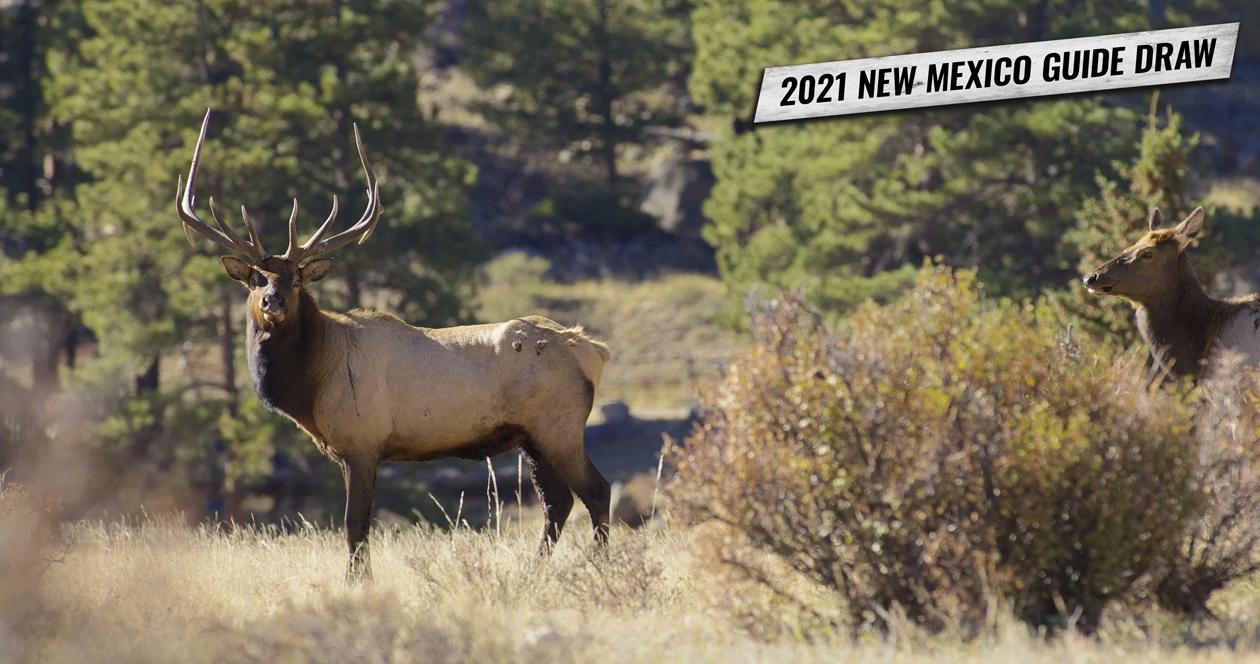 How to apply for New Mexico's 2021 guide draw